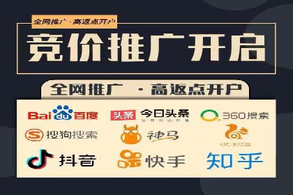 SEO与百度推广结合的营销策略——经典案例解析